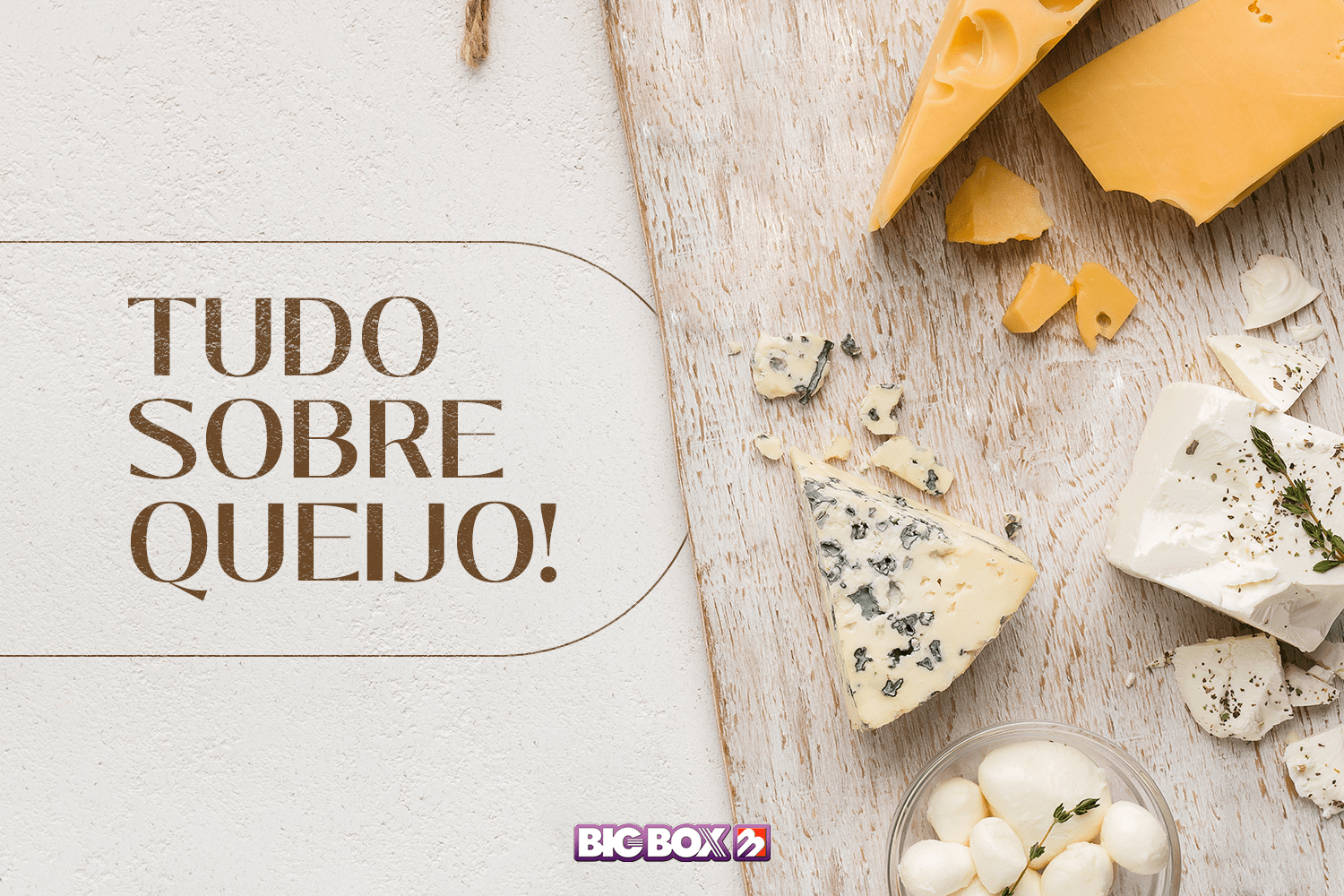 Tudo sobre queijo! Conheça a origem, harmonização e curiosidades dos queijos mais consumidos pelos brasileiros!