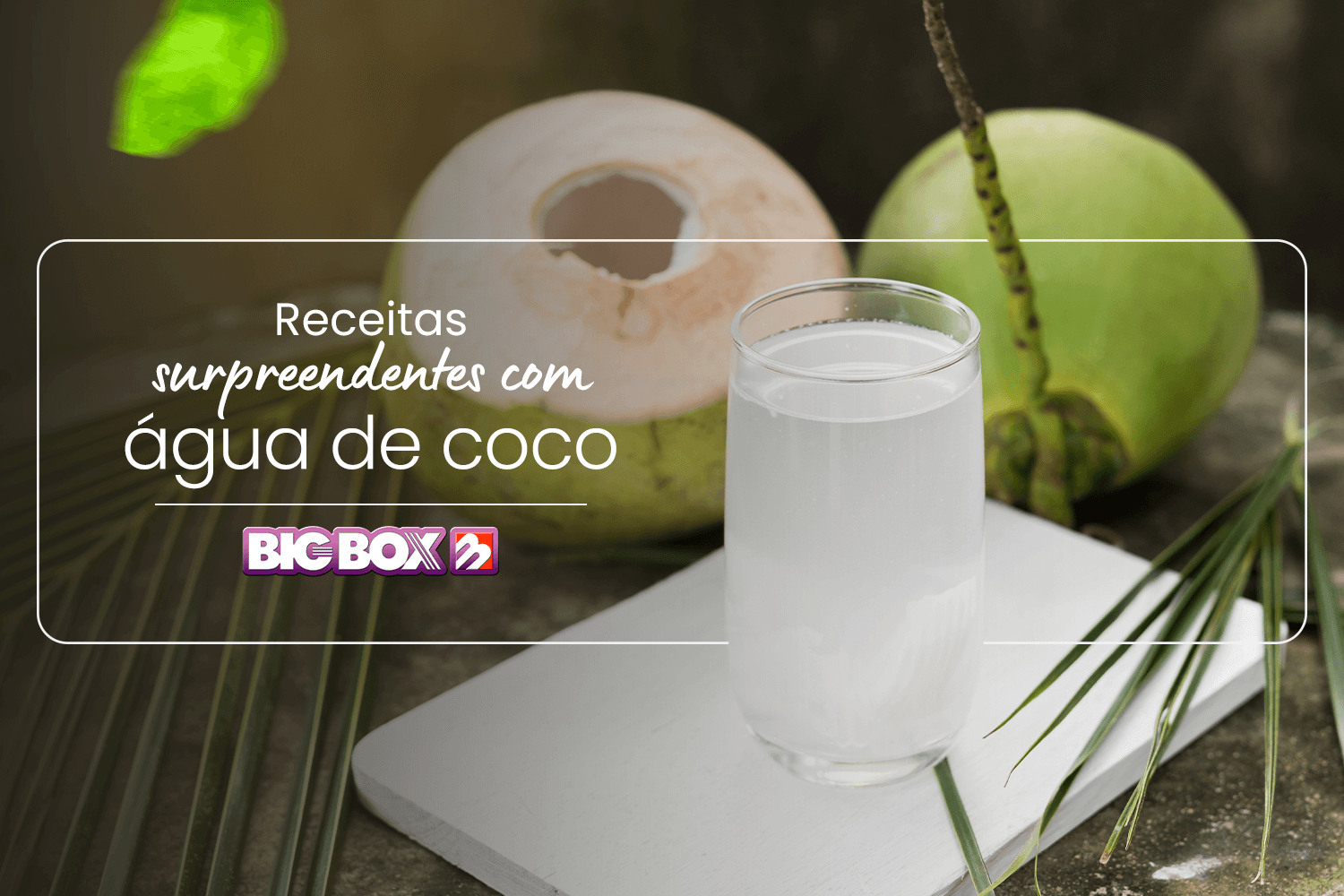 Use e abuse da água de coco em suas receitas!